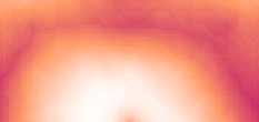 pussy pictures