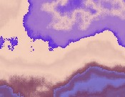 bloom bilder