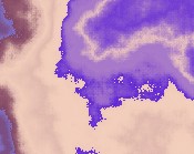 dragon pictures