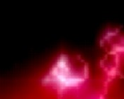 penis pictures