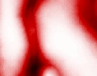 angel pictures
