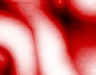 penis pictures