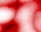 www pictures
