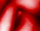 x pictures