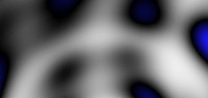 forum bilder