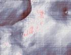 pictures sex