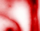bilder pictures