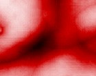 pictures at