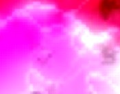 binaries pictures