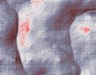 anal pictures