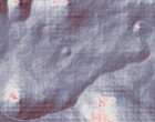 www pictures