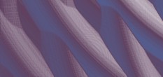 bild kontakte