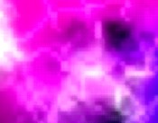 pussy pictures