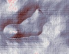 picture stamp