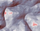 tsunami disaster picture